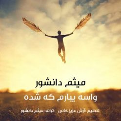 Meysam Daneshvar – Vase Yebaram Ke Shodeh